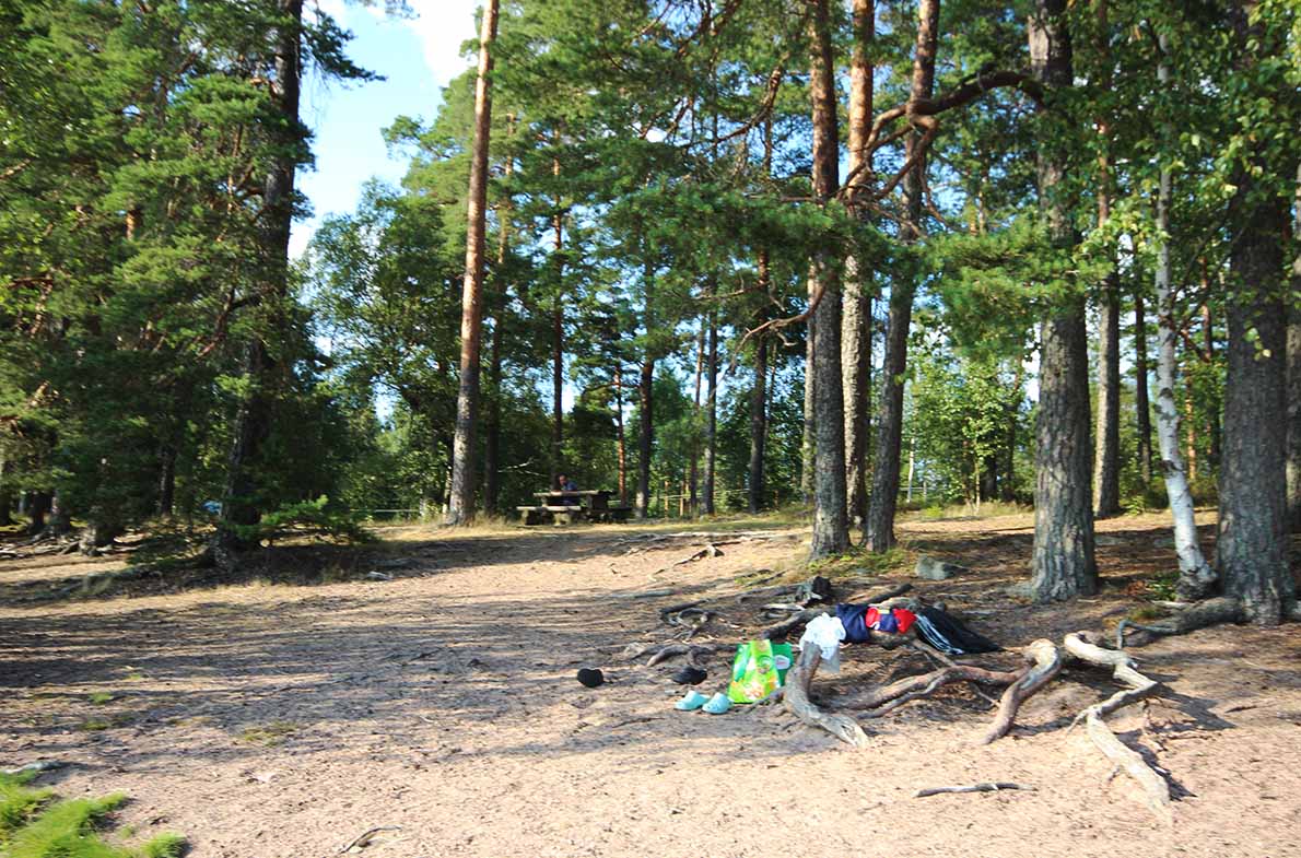 Salkolan levähdysalueen uimaranta, Somero.