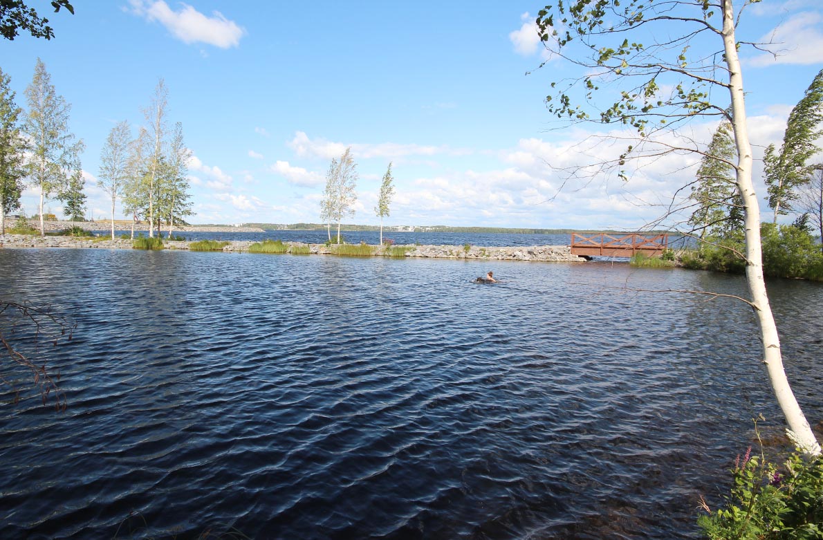 Elianderin uimaranta, Tampere