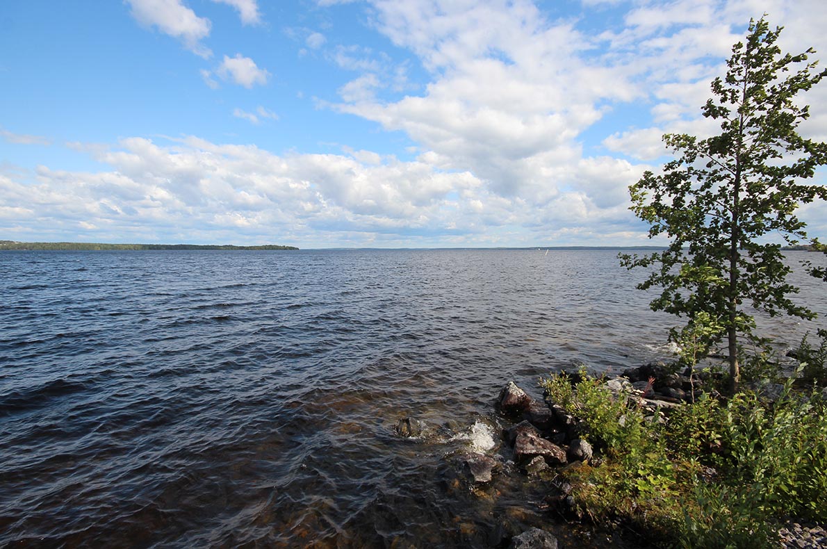 Elianderin uimaranta, Tampere