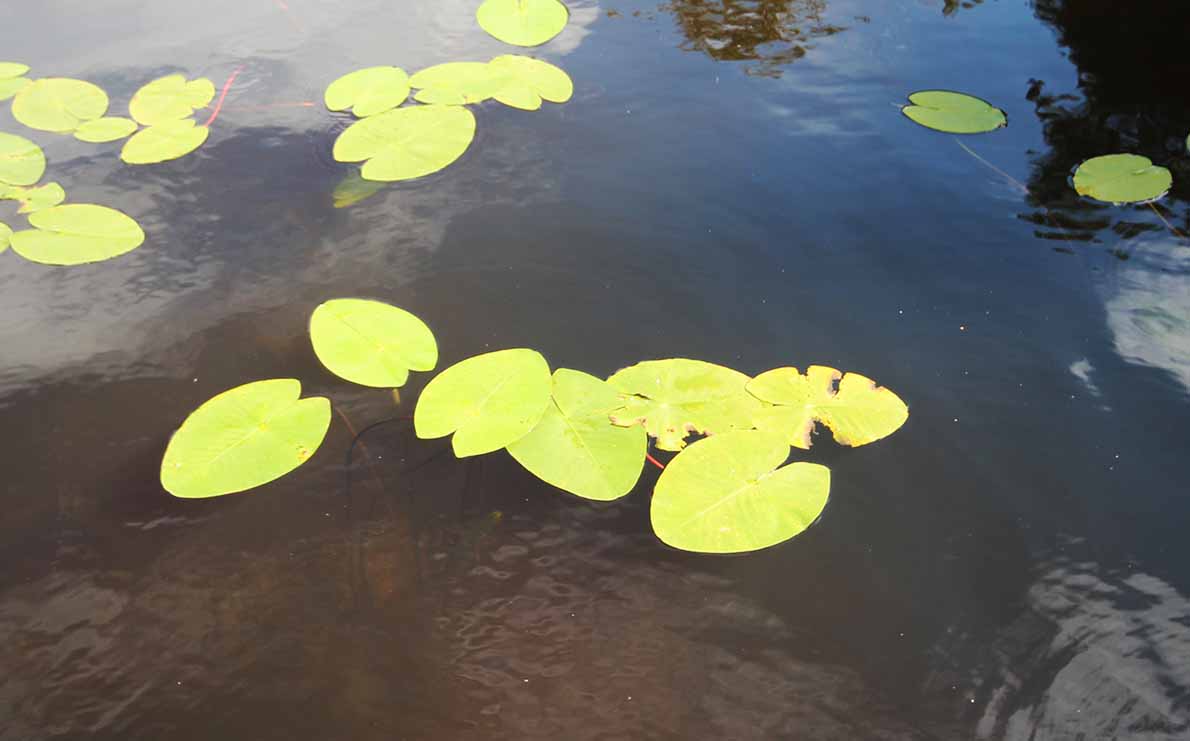 Kommilan uimaranta, Varkaus.