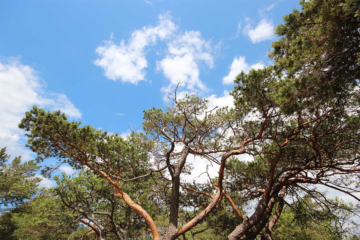 Tulliniemen uimaranta, Hanko.