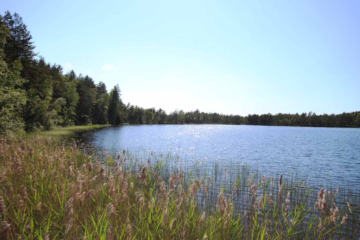 Nälköönlampi swimming beach, Lohja