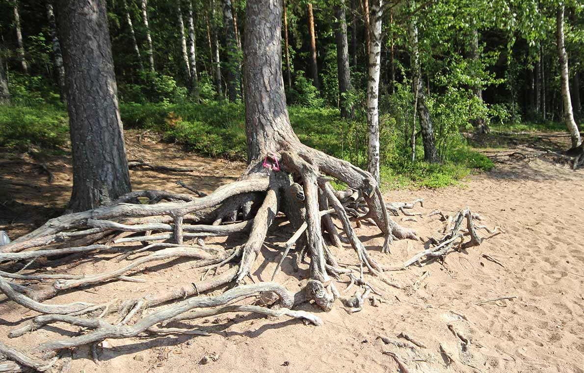 Puujärven uimaranta, Lohja.