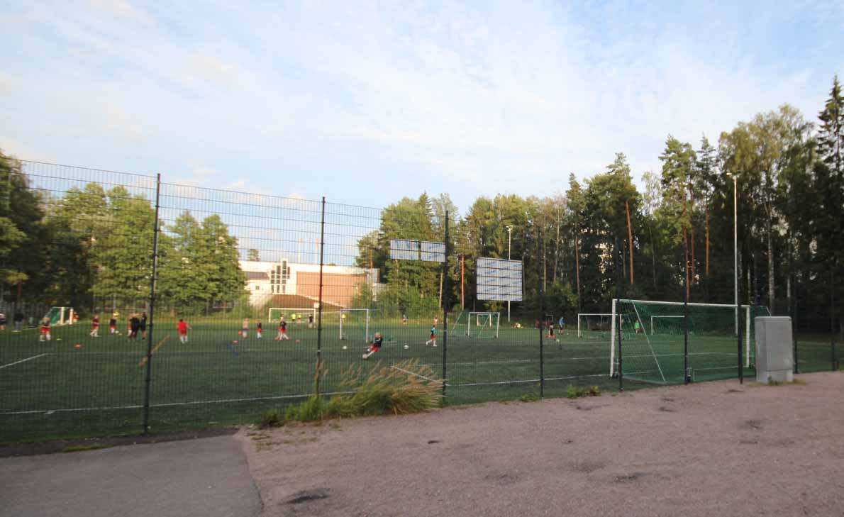 Karakallion tekonurmi, Espoo.