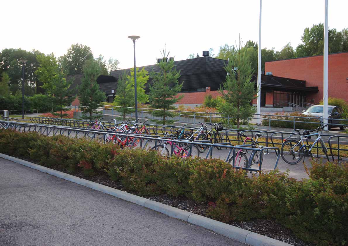 Karakallion tekonurmi, Espoo.