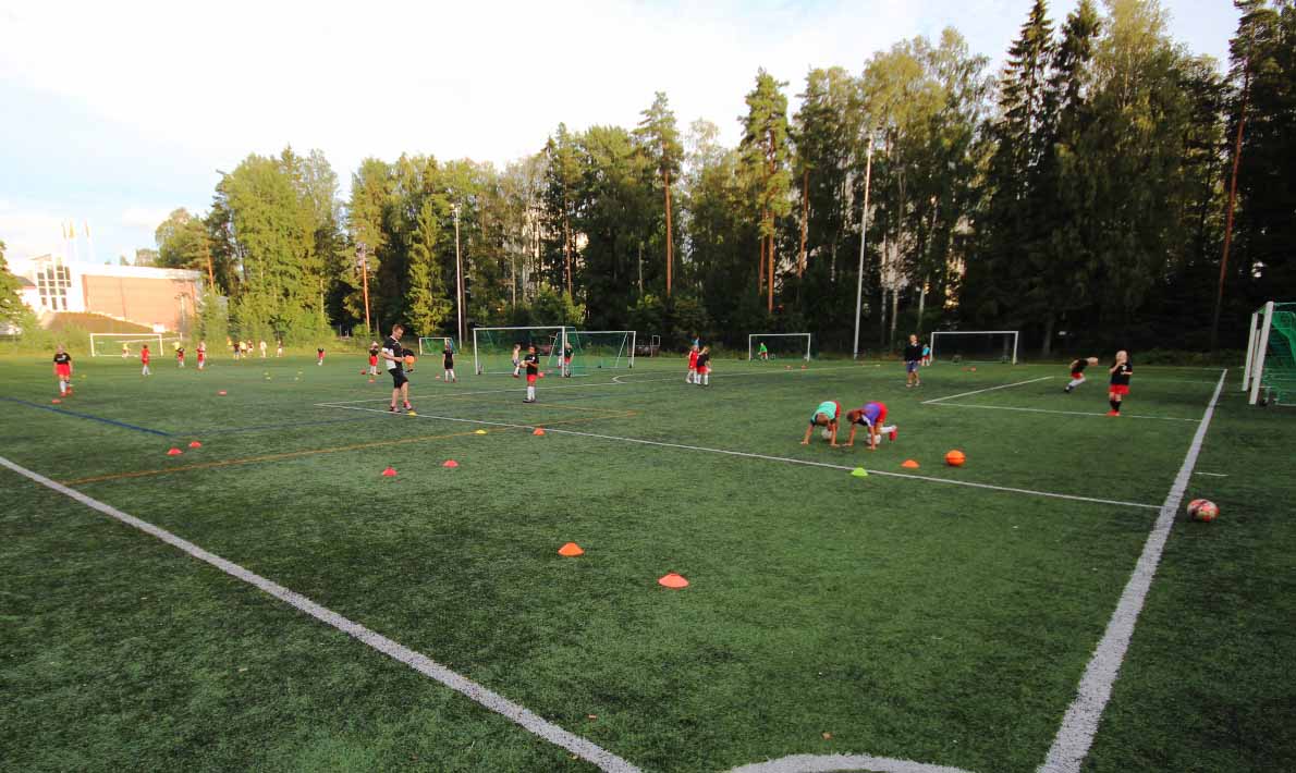 Karakallion tekonurmi, Espoo.